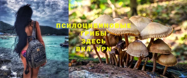 первитин Белокуриха