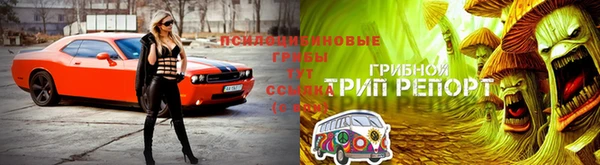 2c-b Бугульма