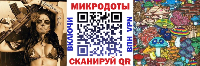 где купить наркотик  Беломорск  Псилоцибиновые грибы Cubensis 