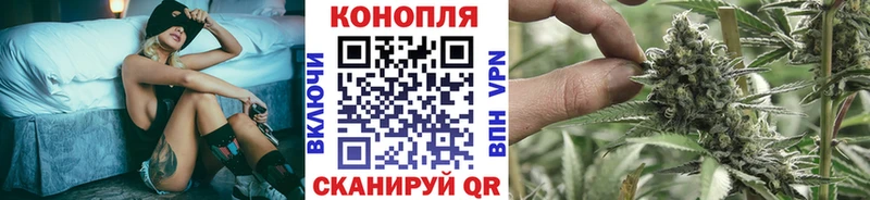 Шишки марихуана OG Kush  гидра ссылка  Беломорск 